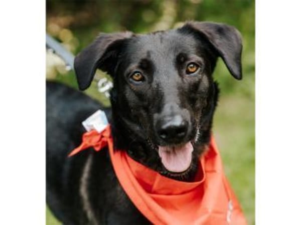 Linne  wartet in 91489 Wilhelmsdorf