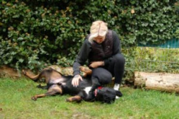 CHOPPER - kleiner Wirbelwind mit Herz