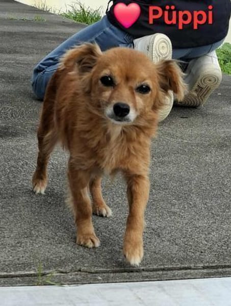 Püppi - wie kann man nur so suß sein?