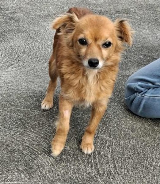 Püppi - wie kann man nur so suß sein?