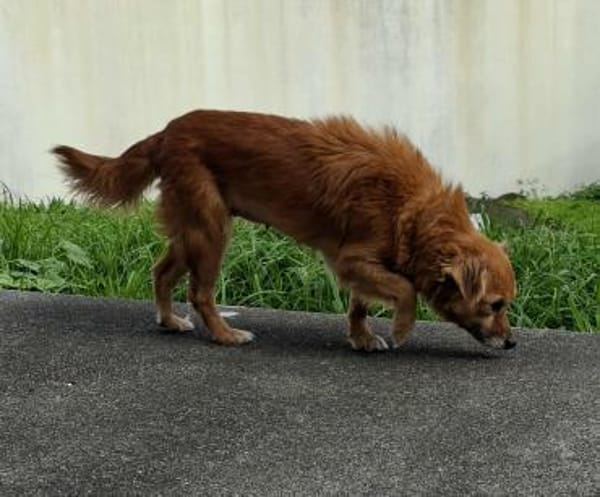 Püppi - wie kann man nur so suß sein?