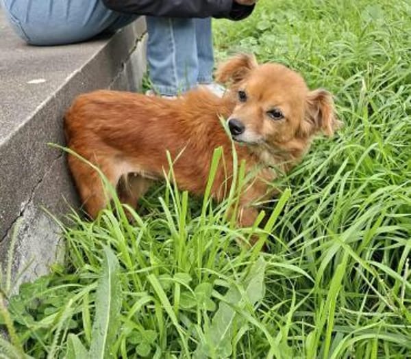 Püppi - wie kann man nur so suß sein?