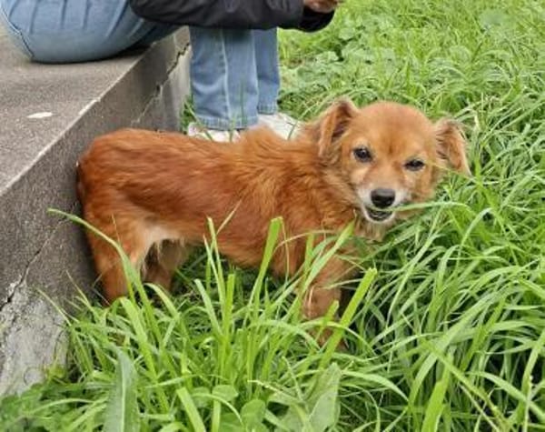 Püppi - wie kann man nur so suß sein?