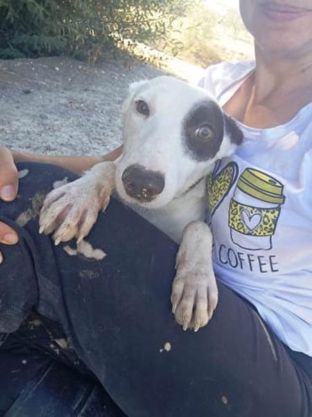 Jack Sparrow  sucht seine Familie