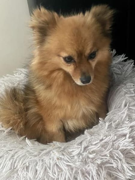 Bertha in 42859 Remscheid