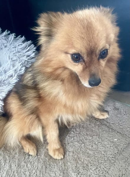 Bertha in 42859 Remscheid