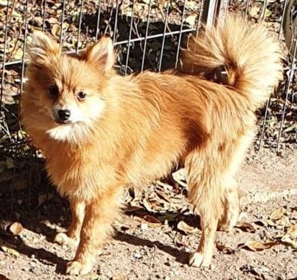 Milo° in 41472 Neuss