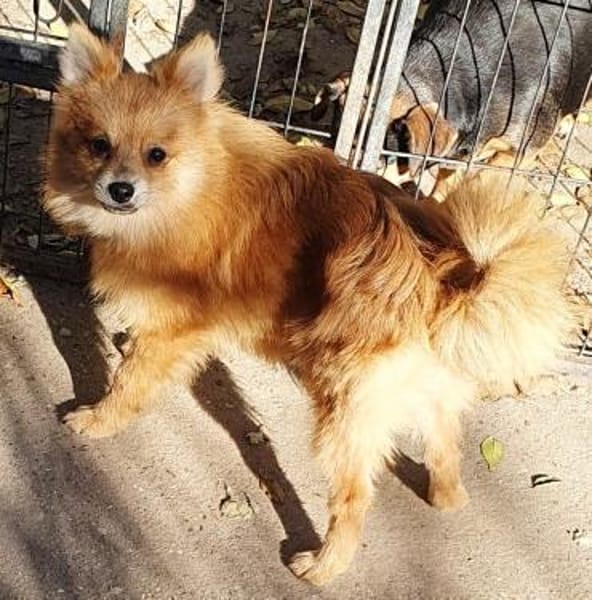 Milo° in 41472 Neuss