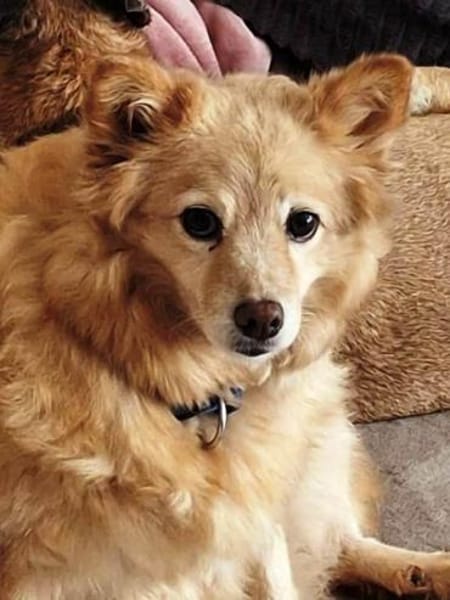 Jimena verdient ganz viel Liebe.....