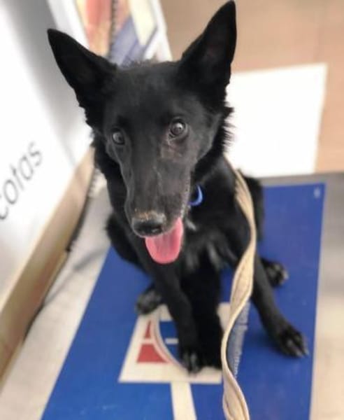 Lotti wer zeigt ihr die große weite Welt