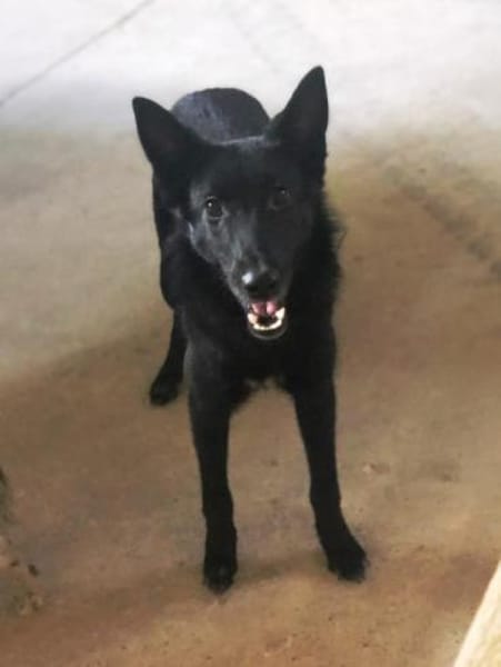 Lotti wer zeigt ihr die große weite Welt