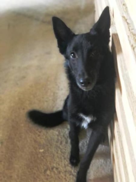 Lotti wer zeigt ihr die große weite Welt