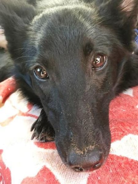 Lotti wer zeigt ihr die große weite Welt