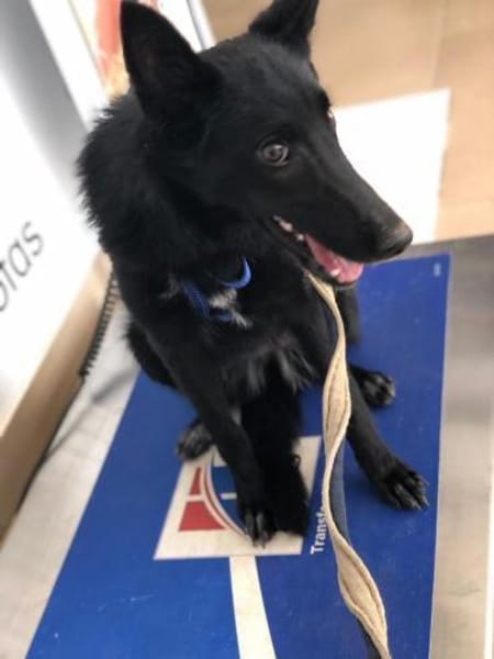 Lotti wer zeigt ihr die große weite Welt