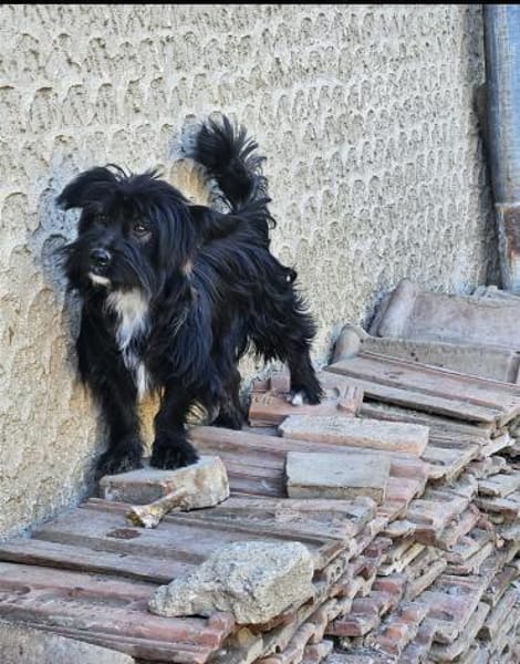 Liebe Kathi sucht ihre Familie