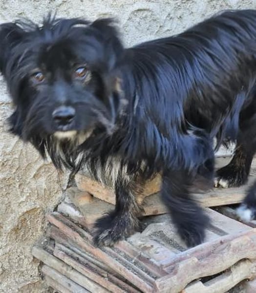 Liebe Kathi sucht ihre Familie