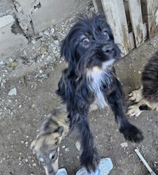 Liebe Kathi sucht ihre Familie