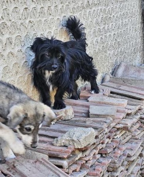 Liebe Kathi sucht ihre Familie