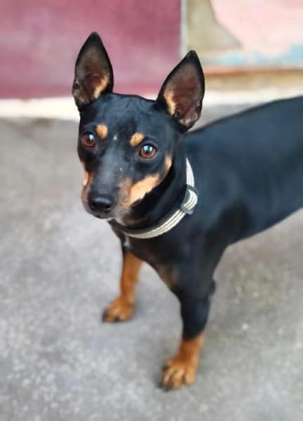 Raisa wurde ausgesetzt