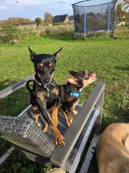 Raisa wurde ausgesetzt