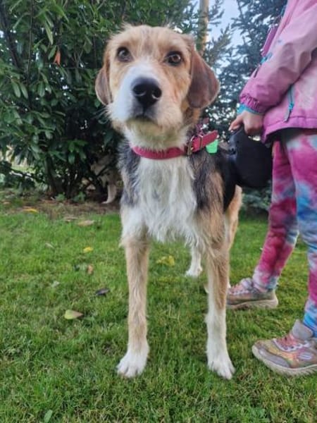 Enrico - sucht seine Menschen