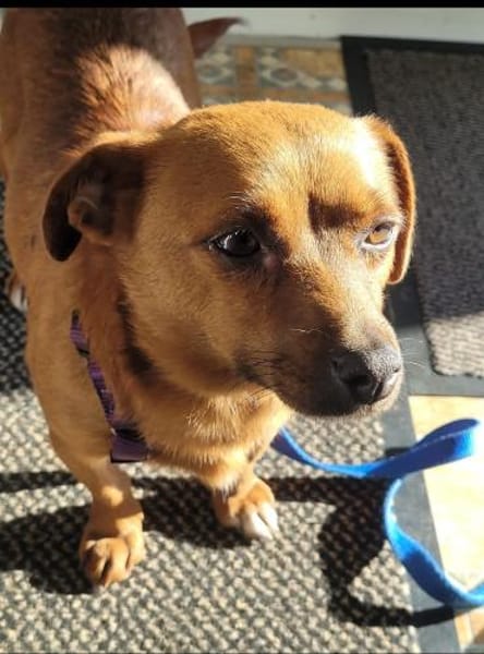 Wundervolle Leni sucht ihre Familie