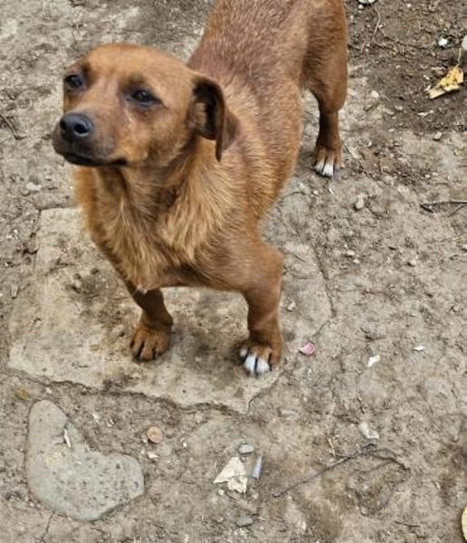 Wundervolle Leni sucht ihre Familie