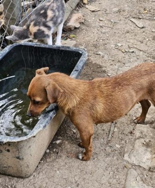 Wundervolle Leni sucht ihre Familie