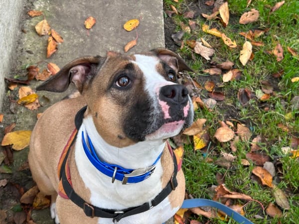 TORNADE (réservée)