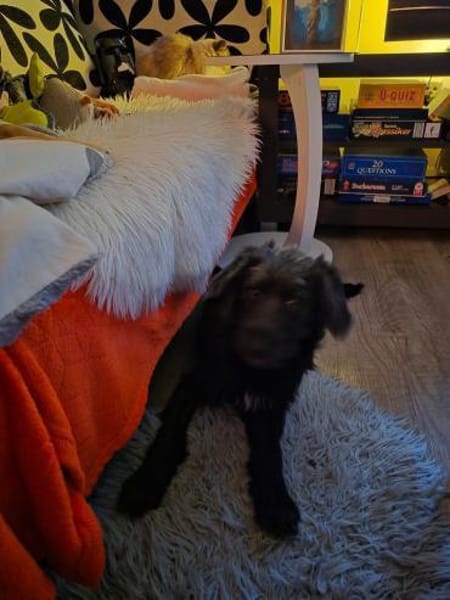 Pippin, hübsches Mädchen