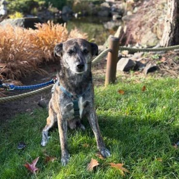 Vermittlungshilfe für JACK