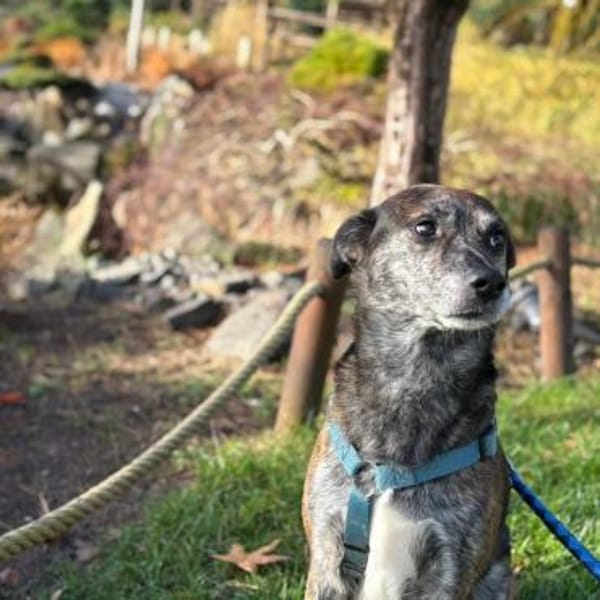 Vermittlungshilfe für JACK