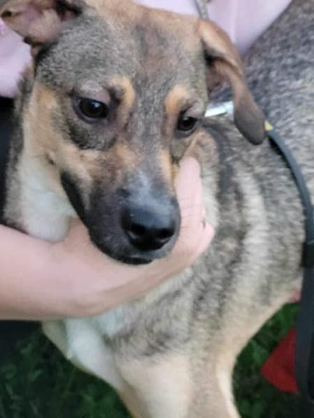 NERO voller Hoffnung 🆘🆘🆘🆘