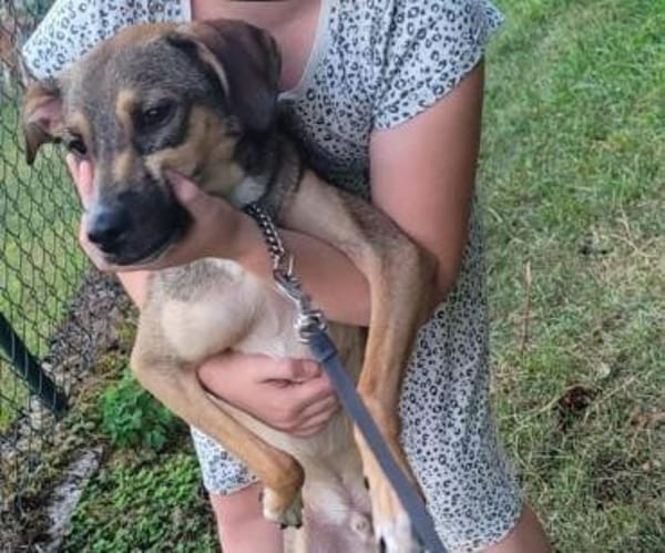 NERO voller Hoffnung 🆘🆘🆘🆘