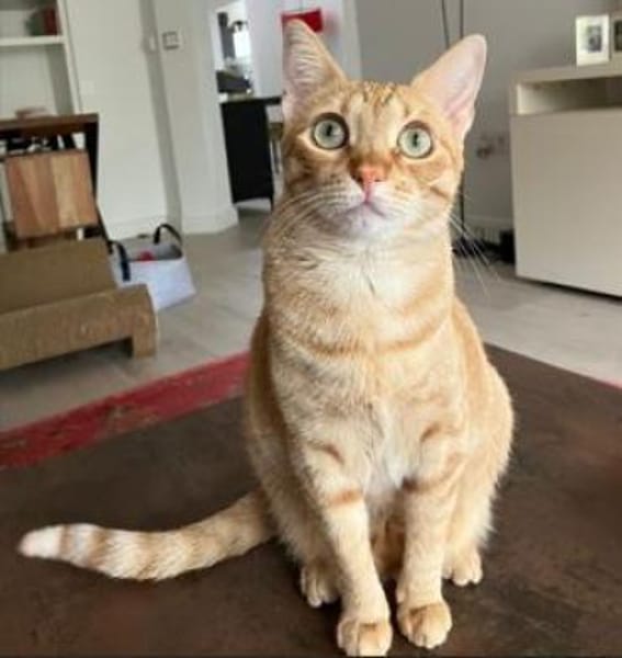 Jefa - Das Schicksal will es anders