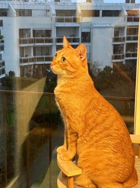 Jefa - Das Schicksal will es anders