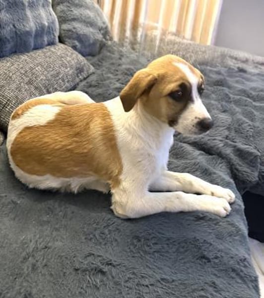 Lolly ein tolles liebes Mädchen