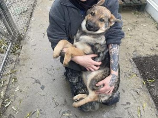 Akela such ihr Für-immer-Zuhause