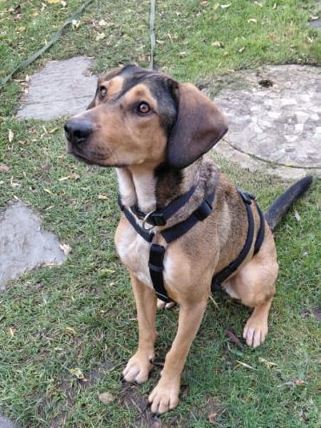 Lara sucht ihre für immer Familie!