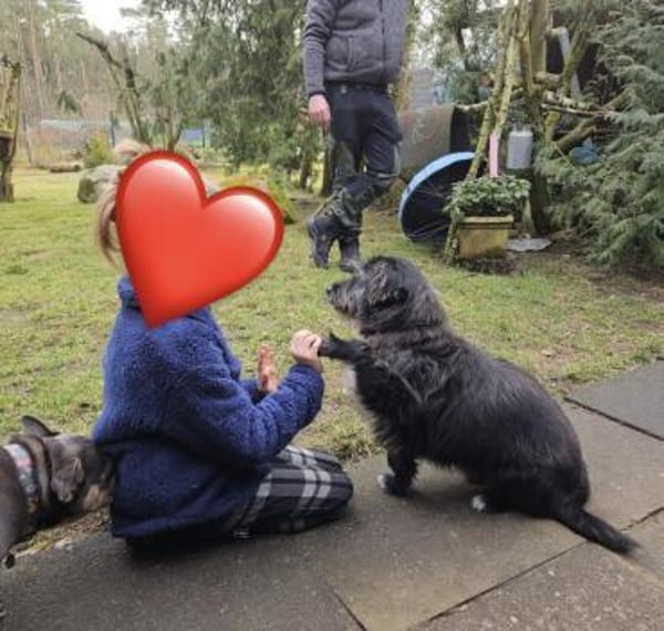 Gartenliebhaber Leroy auf Heimatsuche