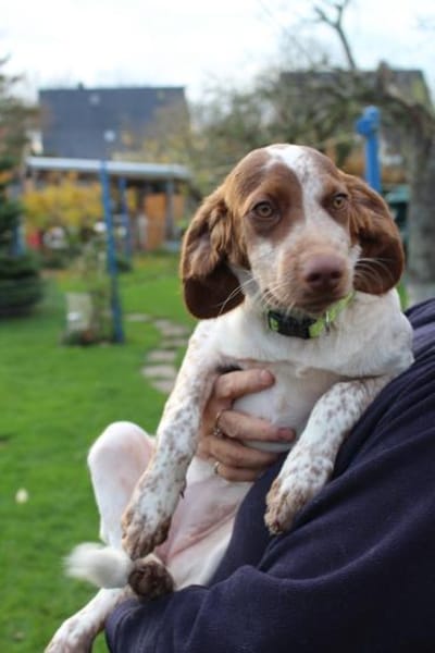 Bezaubernde kleine Iza sucht ein Zuhause