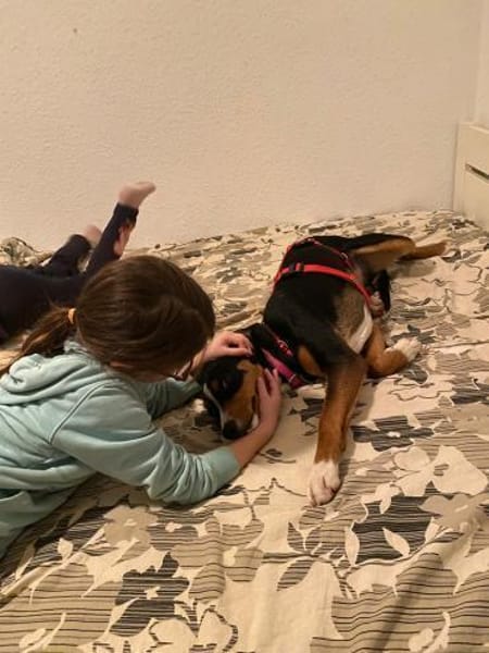 Liebe Missy sucht ihre Menschen