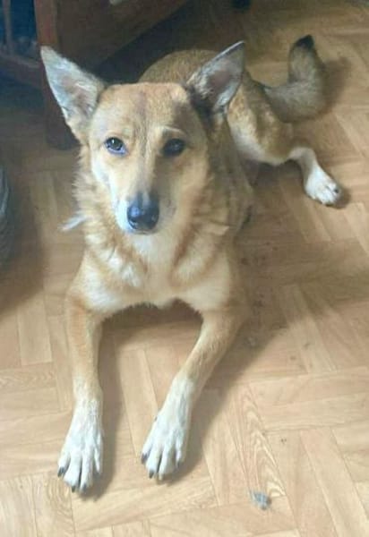 YELLOW sucht ihren Glücksort...