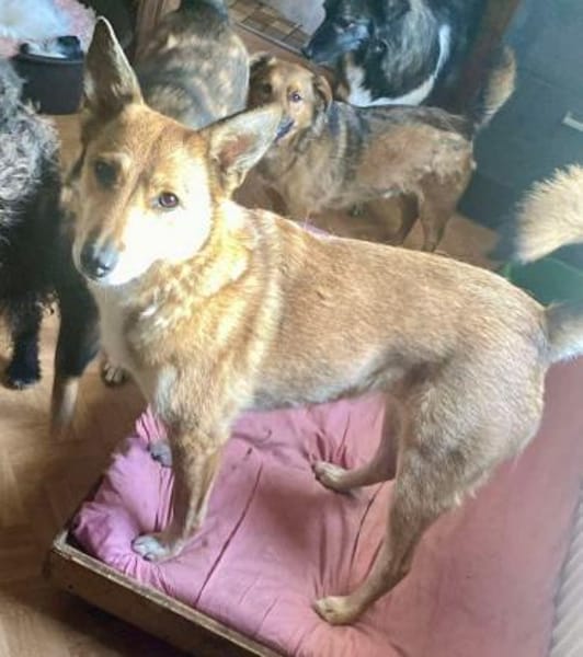 YELLOW sucht ihren Glücksort...