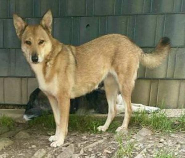 YELLOW sucht ihren Glücksort...