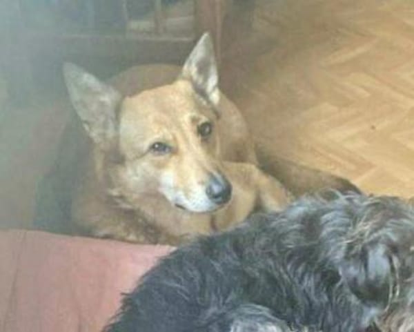 YELLOW sucht ihren Glücksort...