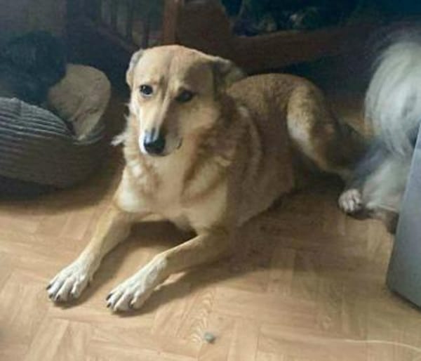 YELLOW sucht ihren Glücksort...