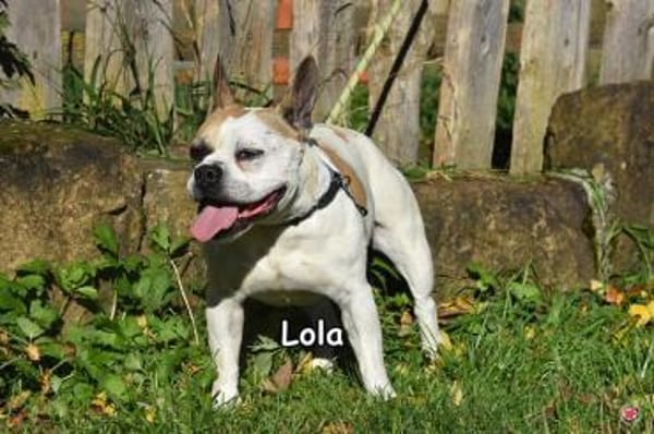LOLA