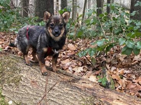 Astri unsere Minimaus