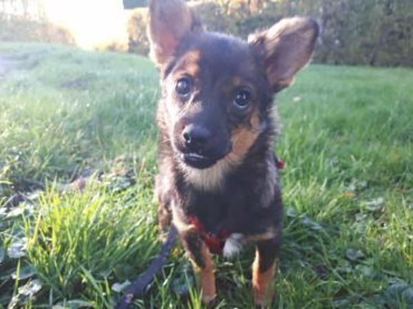 Astri unsere Minimaus